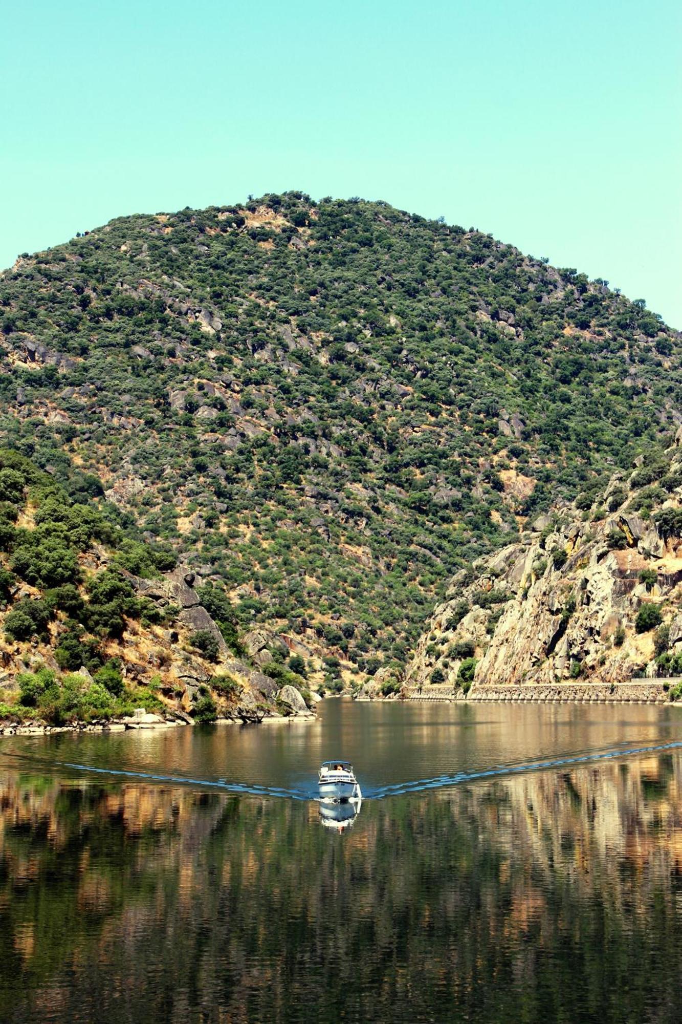 Douro Yacht Charter & Bungalows São João da Pesqueira 客房 照片