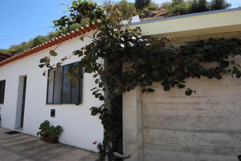 Douro Yacht Charter & Bungalows São João da Pesqueira 外观 照片