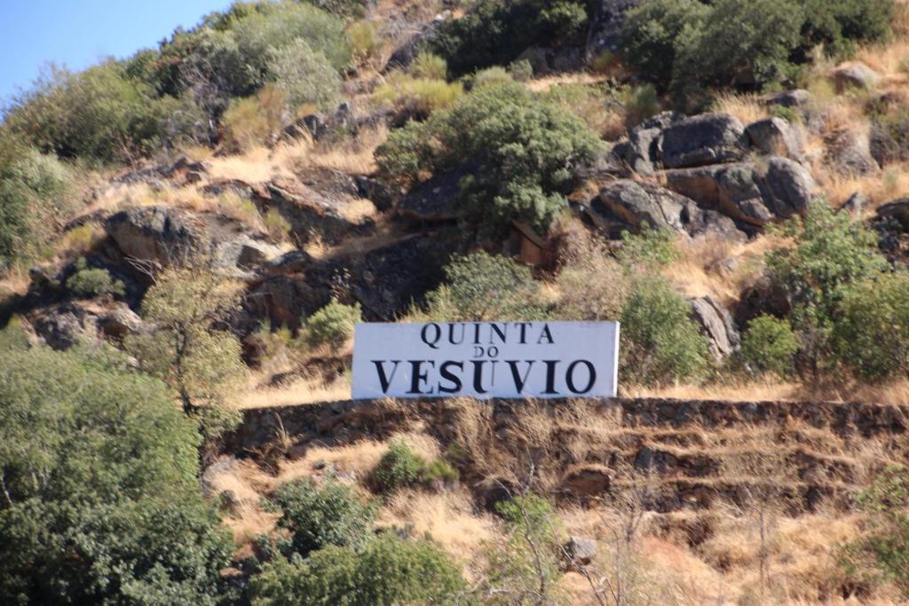 Douro Yacht Charter & Bungalows São João da Pesqueira 外观 照片