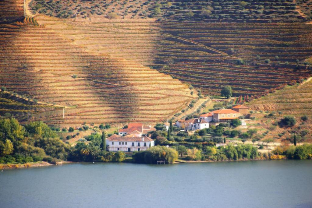 Douro Yacht Charter & Bungalows São João da Pesqueira 外观 照片