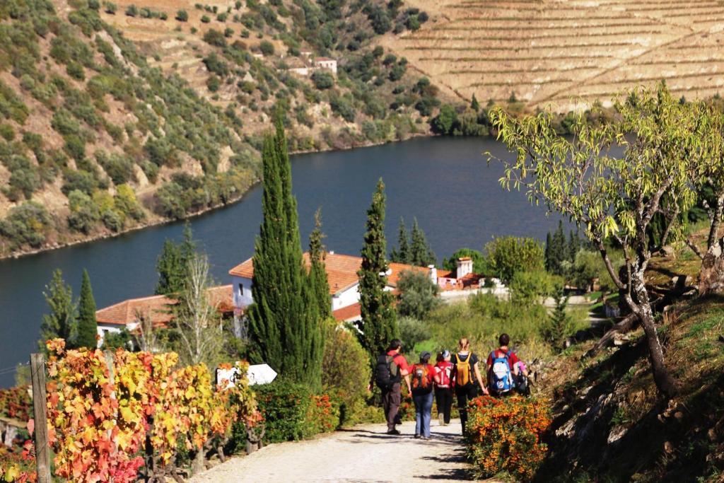 Douro Yacht Charter & Bungalows São João da Pesqueira 外观 照片
