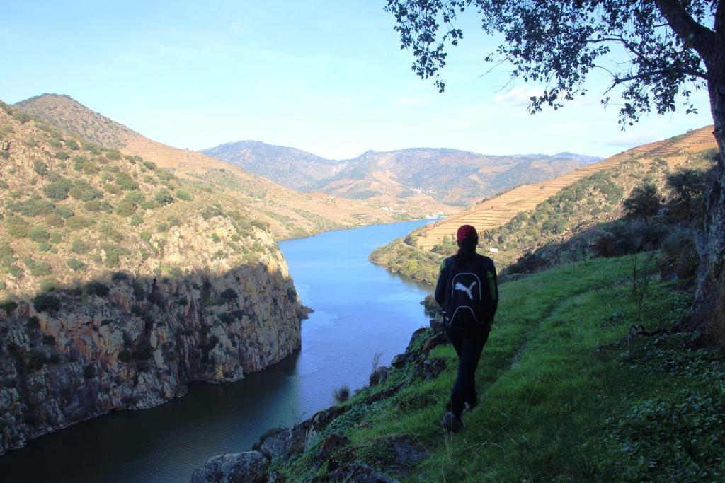 Douro Yacht Charter & Bungalows São João da Pesqueira 外观 照片